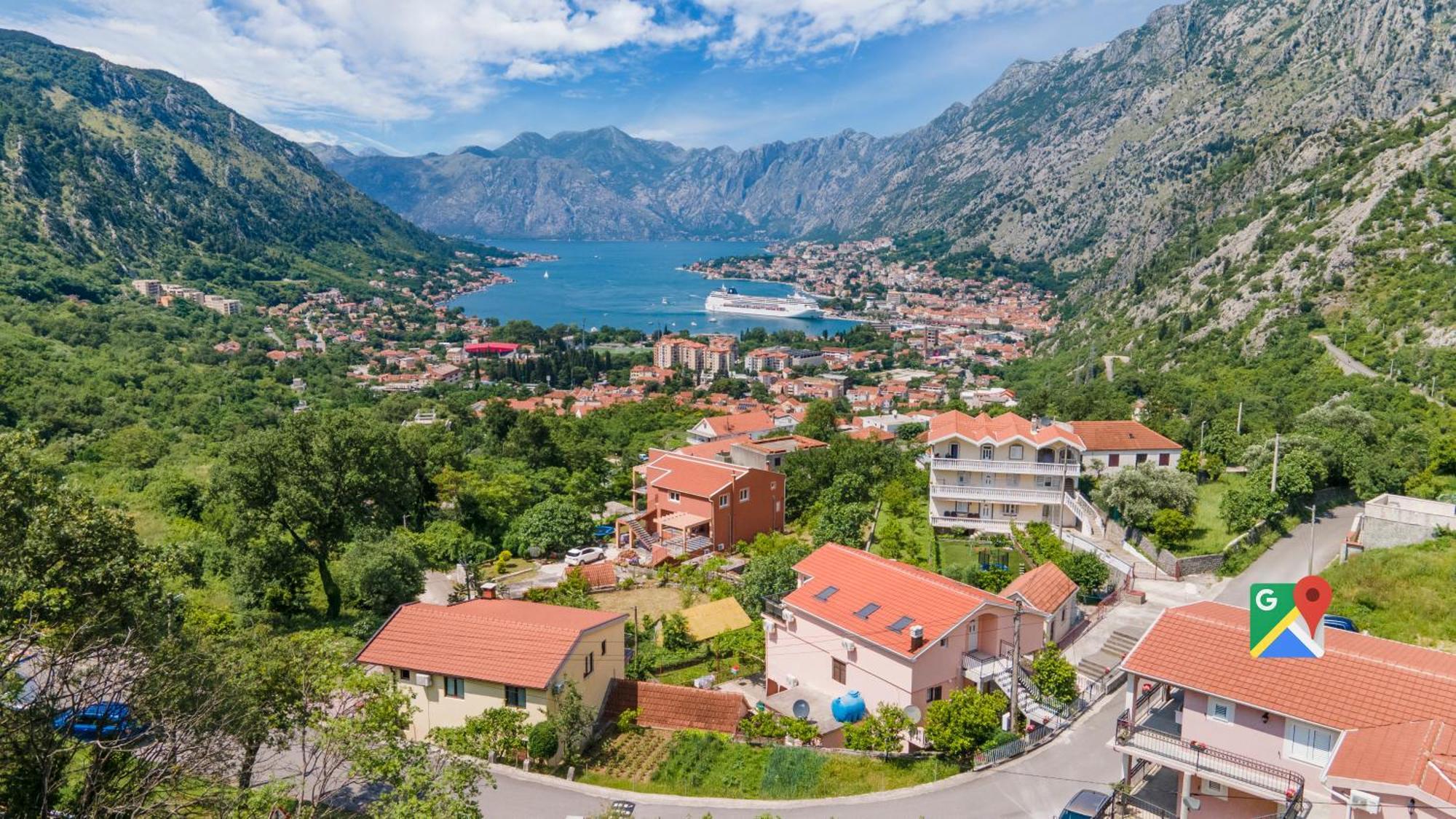 Petar 1 * Kotor